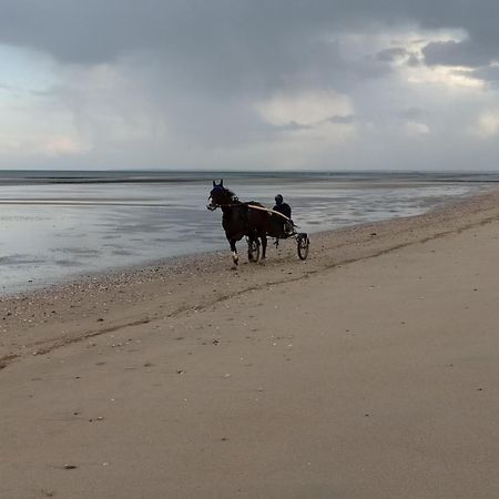 Gites "Plage" Ou "Pieds Dans L'Eau" En Front De Mer A Asnelles , 3Km D'Arromanches, 10Km De Bayeux Екстериор снимка