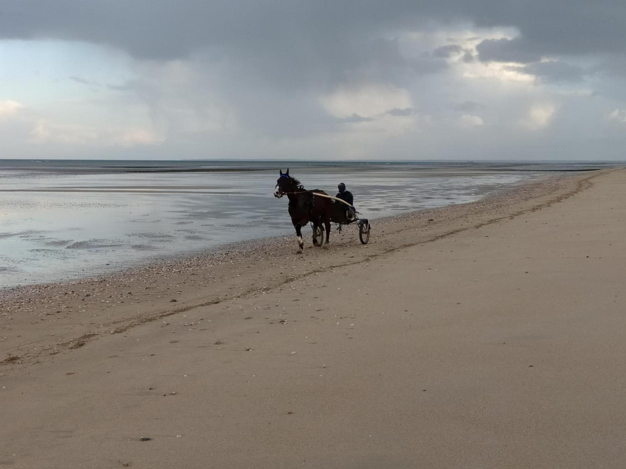 Gites "Plage" Ou "Pieds Dans L'Eau" En Front De Mer A Asnelles , 3Km D'Arromanches, 10Km De Bayeux Екстериор снимка